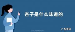 杏子是什么味道的