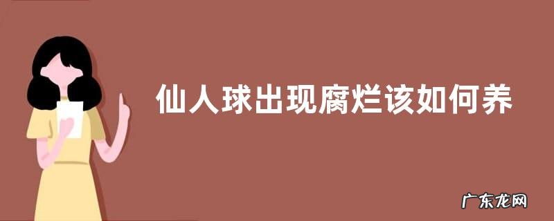 仙人球出现腐烂该如何养护