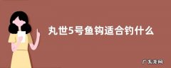 丸世5号鱼钩适合钓什么鱼？具体有什么特点