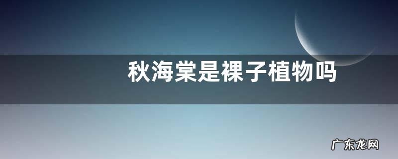 秋海棠是裸子植物吗