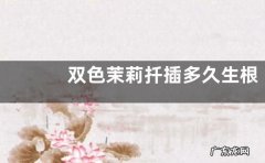双色茉莉扦插多久生根