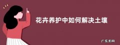 花卉养护中如何解决土壤板结问题