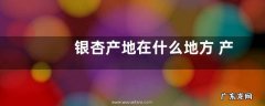 银杏产地在什么地方 产地在哪里
