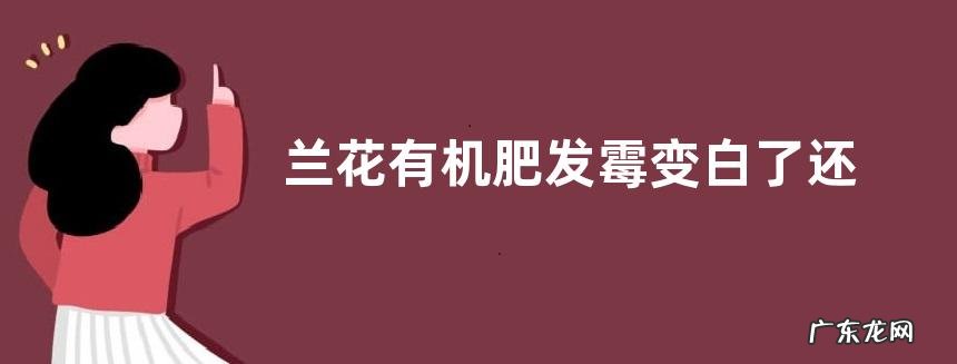 兰花有机肥发霉变白了还能使用吗