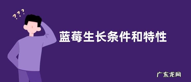 蓝莓生长条件和特性
