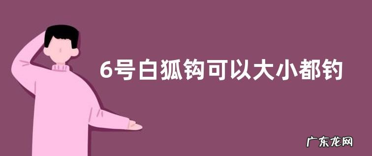 6号白狐钩可以大小都钓吗?附注意事项