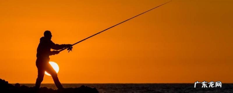 6号白狐钩可以大小都钓吗?附注意事项