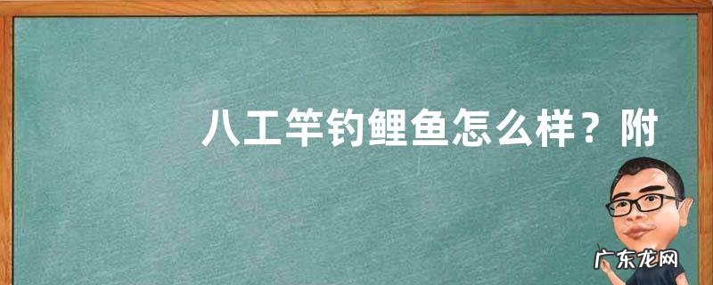 八工竿钓鲤鱼怎么样?附注意事项