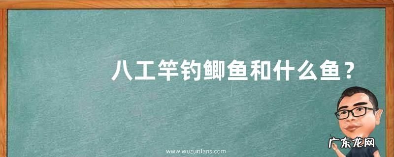 八工竿钓鲫鱼和什么鱼?这些鱼一般分布在哪里