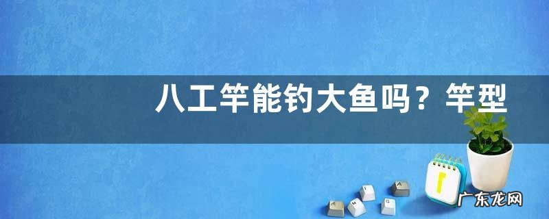 八工竿能钓大鱼吗?竿型特点是什么