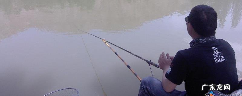 并继竿选13尺的理由是?附适钓鱼情