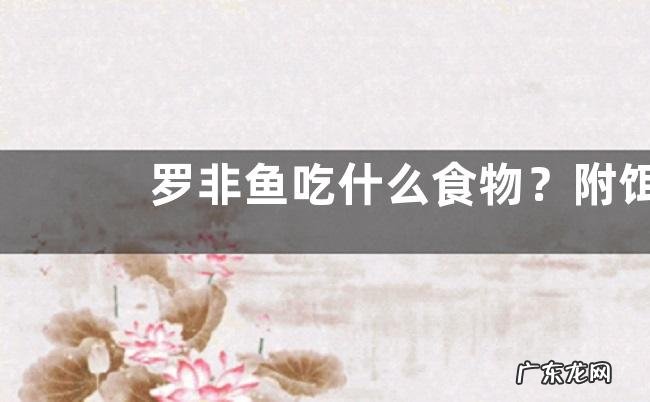 罗非鱼吃什么食物?附饵料配方