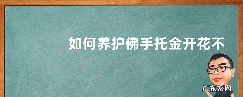 如何养护佛手托金开花不断