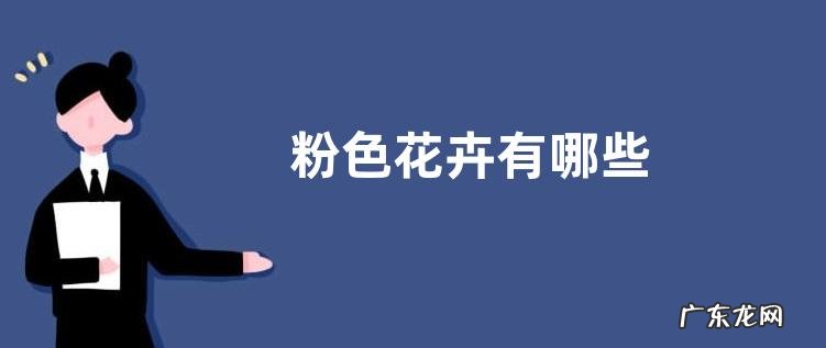 粉色花卉有哪些