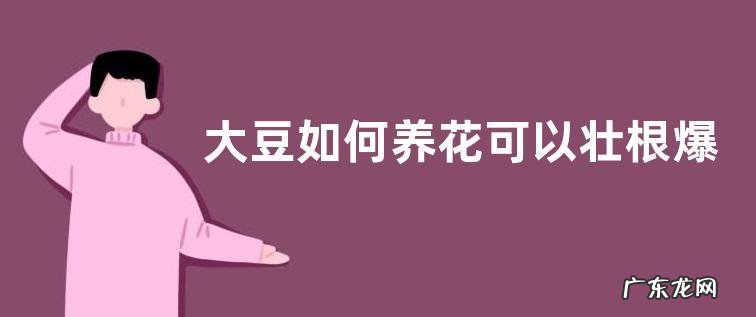 大豆如何养花可以壮根爆满盆