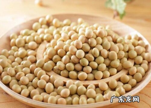 大豆如何养花可以壮根爆满盆