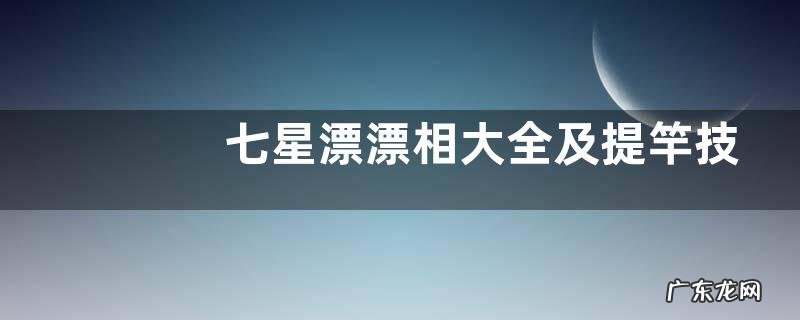 七星漂漂相大全及提竿技巧