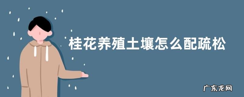 桂花养殖土壤怎么配疏松又营养