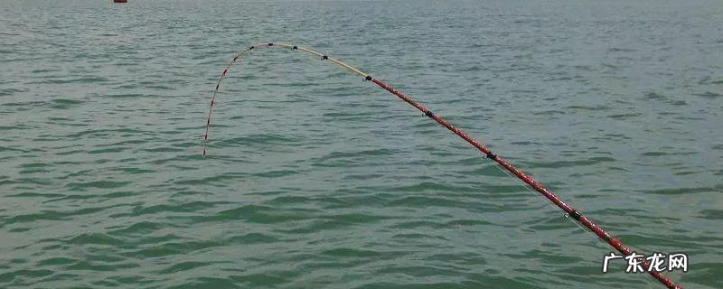 冬季钓鱼用什么鱼饵?如何选种钓位