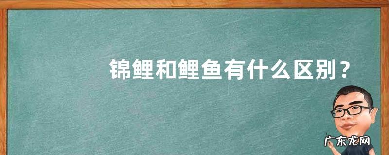 锦鲤和鲤鱼有什么区别?详细介绍