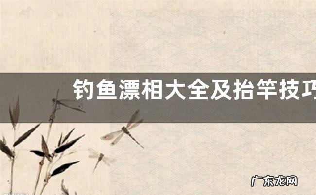 钓鱼漂相大全及抬竿技巧