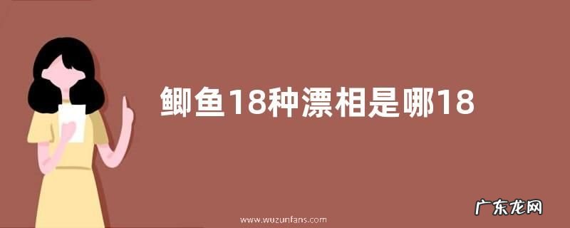 鲫鱼18种漂相是哪18种