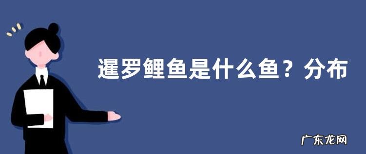 暹罗鲤鱼是什么鱼？分布在哪