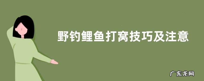 野钓鲤鱼打窝技巧及注意事项，附钓点选择