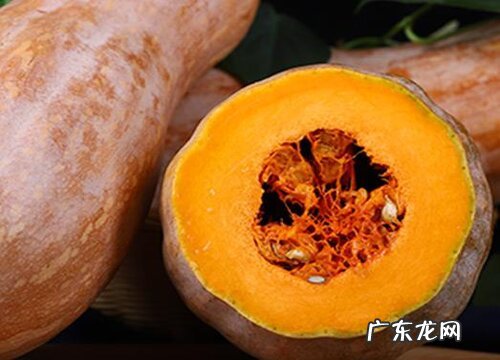 南瓜是藤本植物吗 属于什么科植物