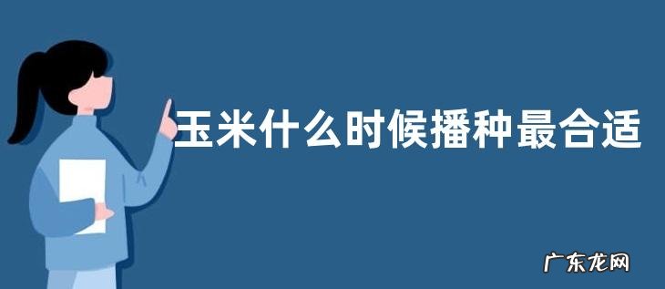 玉米什么时候播种最合适