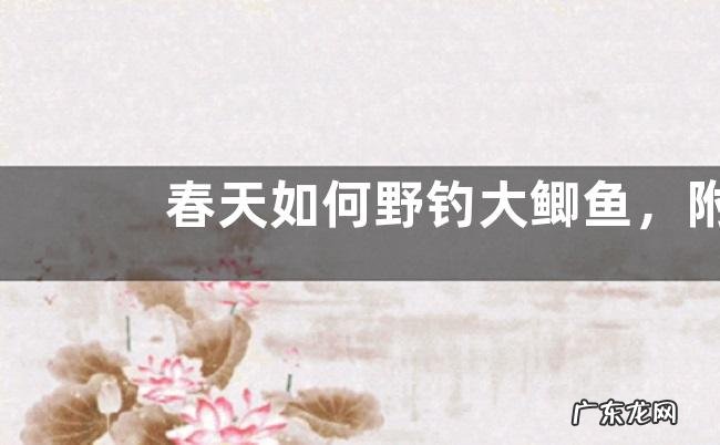 春天如何野钓大鲫鱼,附春天钓鲫鱼实用技巧