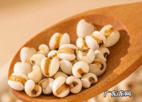 和高粱穗很像的植物