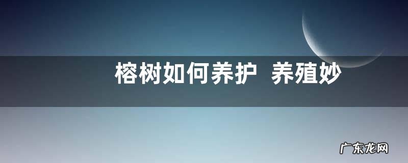 榕树如何养护养殖妙招
