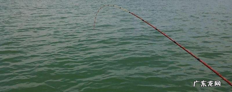 筏竿钓底最灵敏的方法，注意事项有哪些