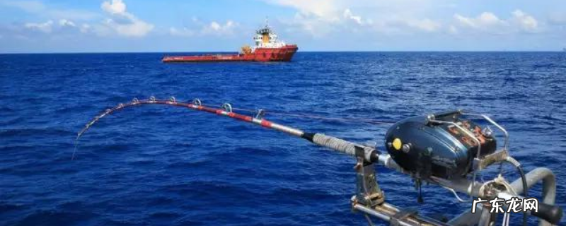 海钓什么时候最好钓？附作钓方法