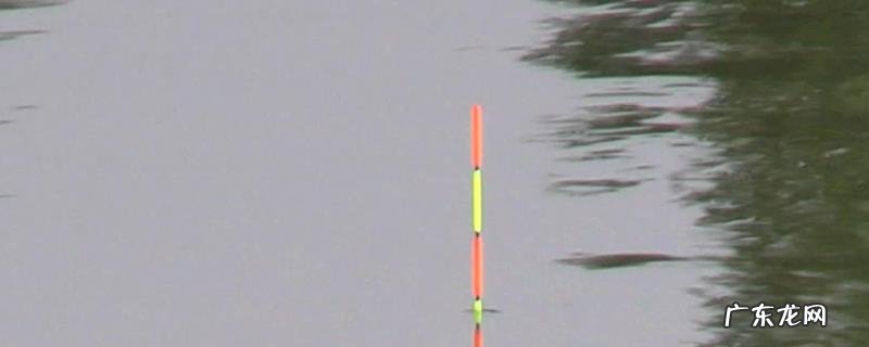 送漂打不到鱼怎么回事?附其解决办法