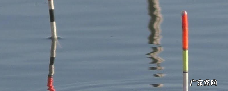 大送漂不中鱼是怎么回事？解决办法是什么