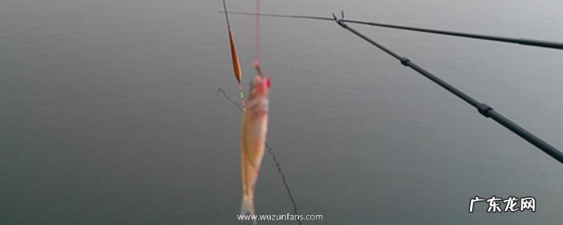 送漂不中鱼是什么原因?具体怎样解决