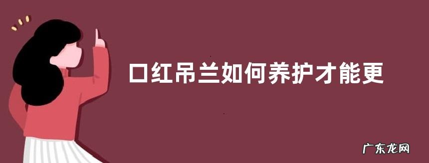 口红吊兰如何养护才能更好的开花