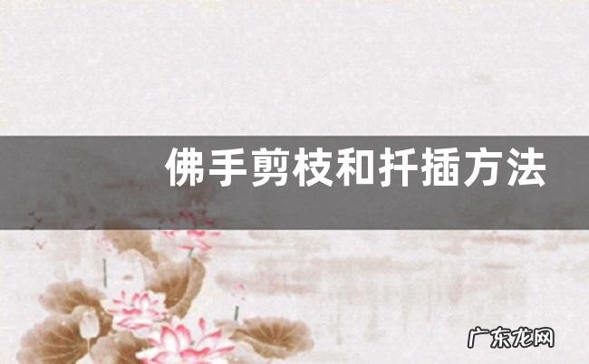 佛手剪枝和扦插方法