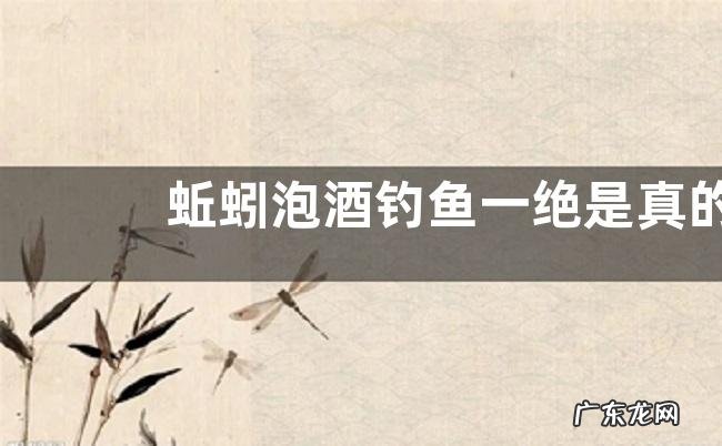 蚯蚓泡酒钓鱼一绝是真的吗？附挂钩方法和作钓技巧