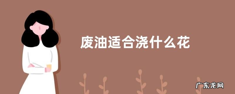 废油适合浇什么花