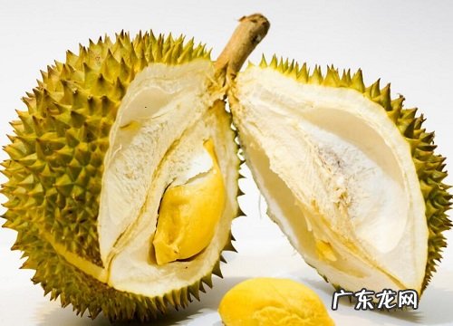 榴莲生长环境条件及特点