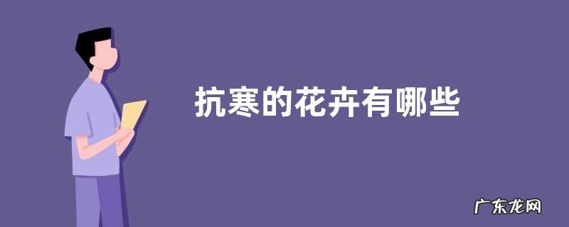 抗寒的花卉有哪些