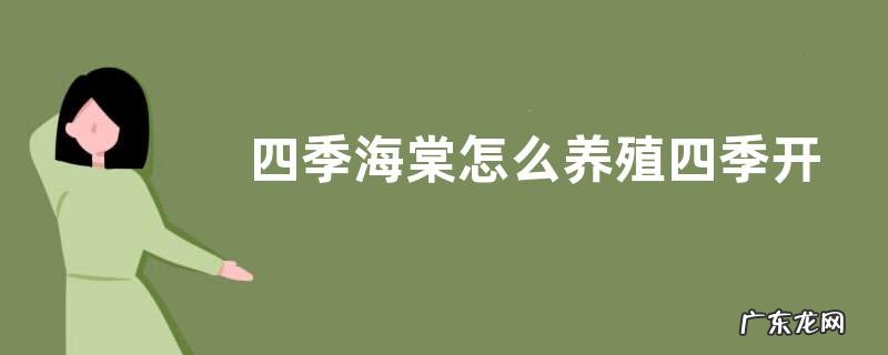 四季海棠怎么养殖四季开花不断