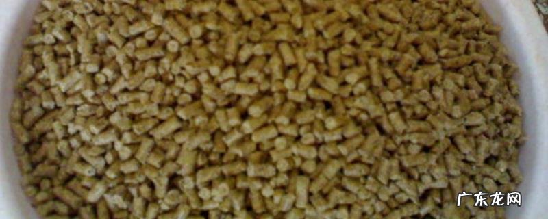 夏季钓鲤鱼老三样饵料配方,使用注意事项有哪些