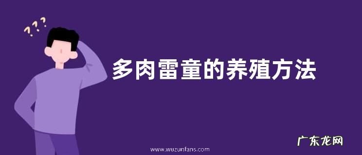 多肉雷童的养殖方法