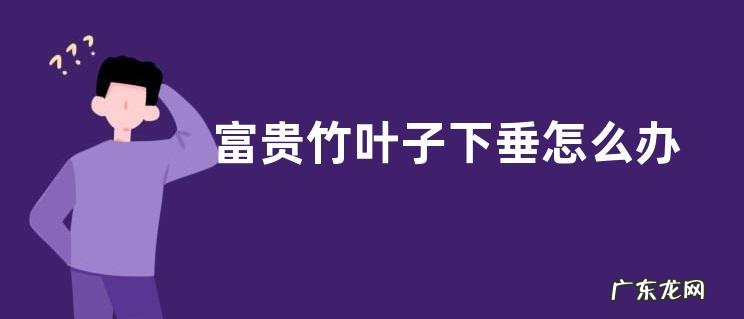 富贵竹叶子下垂怎么办