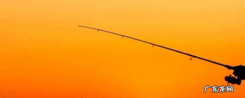 夏季钓鱼用什么鱼饵?附作钓技巧