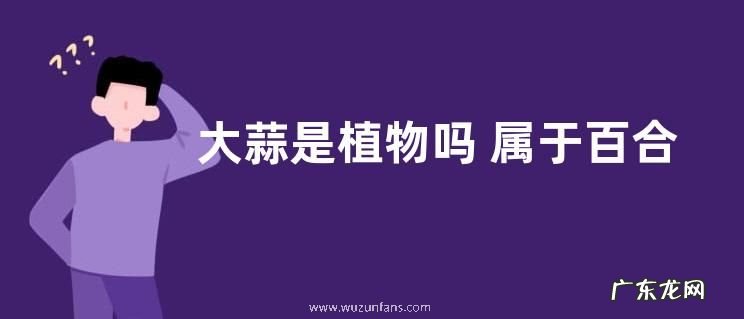 大蒜是植物吗 属于百合科多年生草本植物